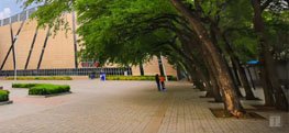 党建与业务 教学科研 校园文化
