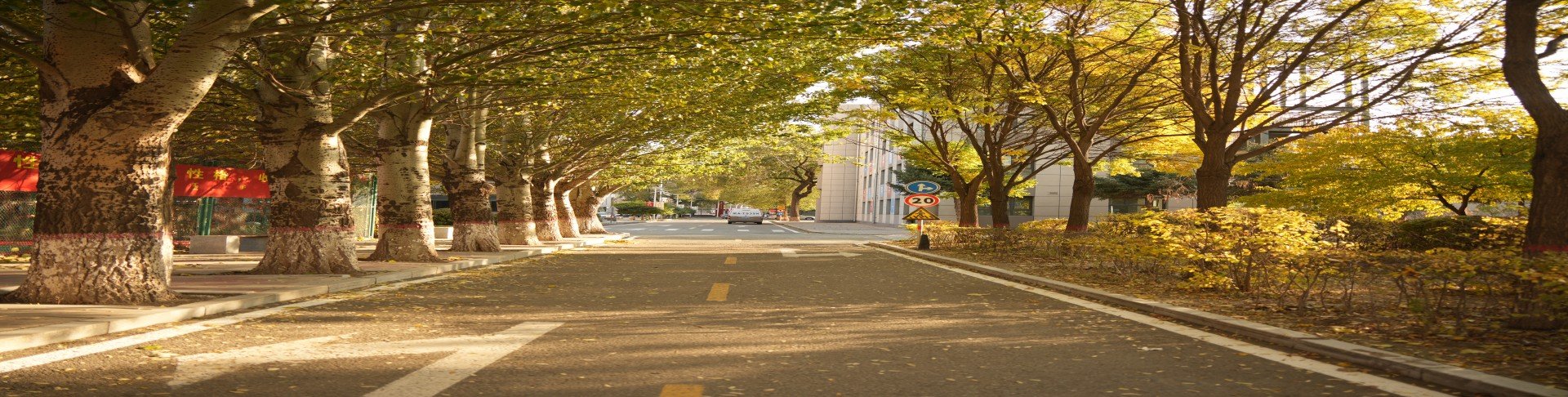 2026学年第二学期期末教学工作部署